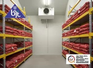 Custom Industrial Refrigeration: Revolutionizing Cold Storage BJT